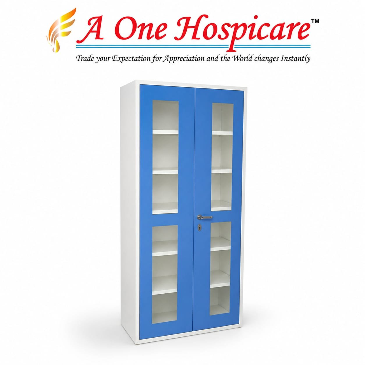 Instrument Trolley (Double Door) AOH 173 (B)