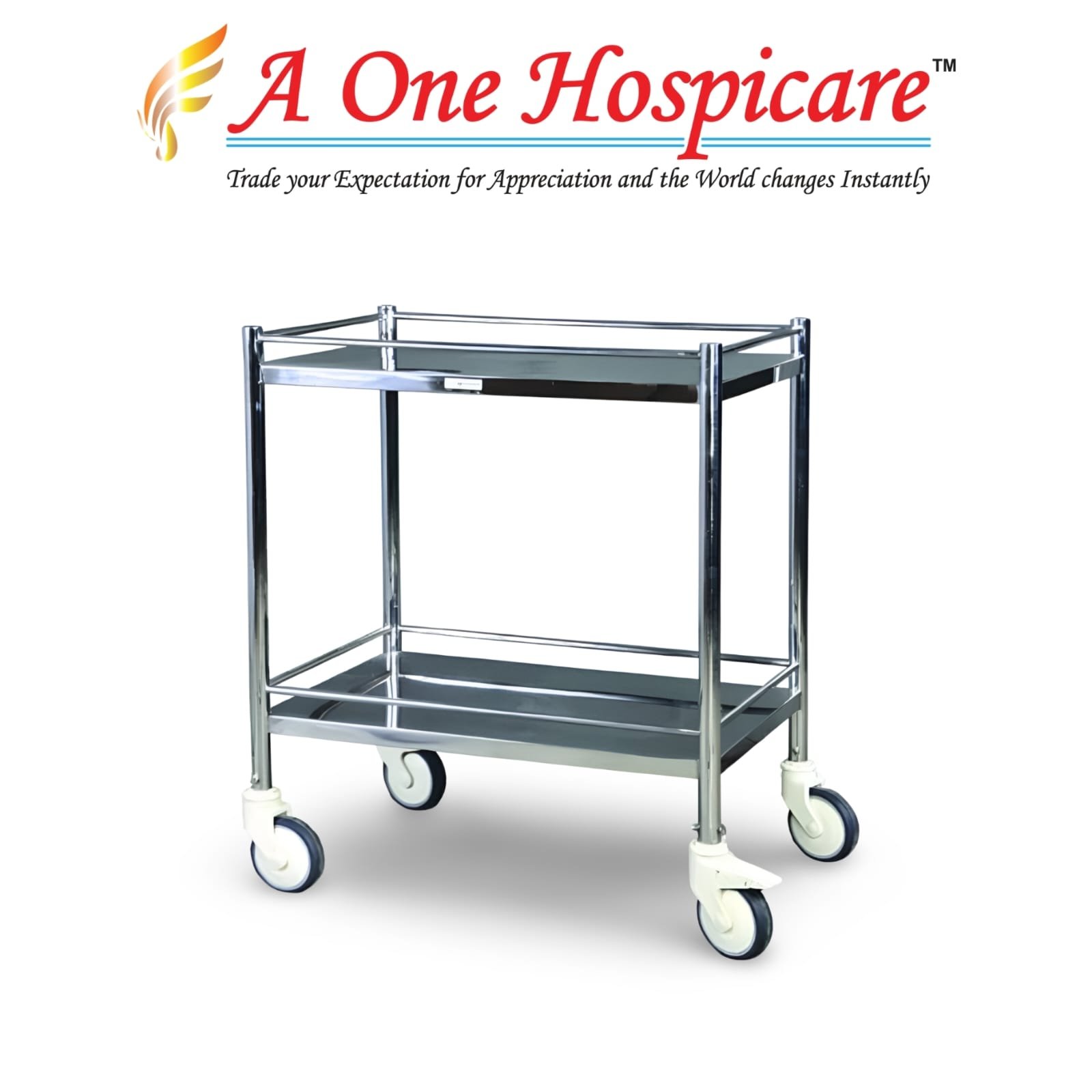 SS Instrument Trolley AOH 170 (B)