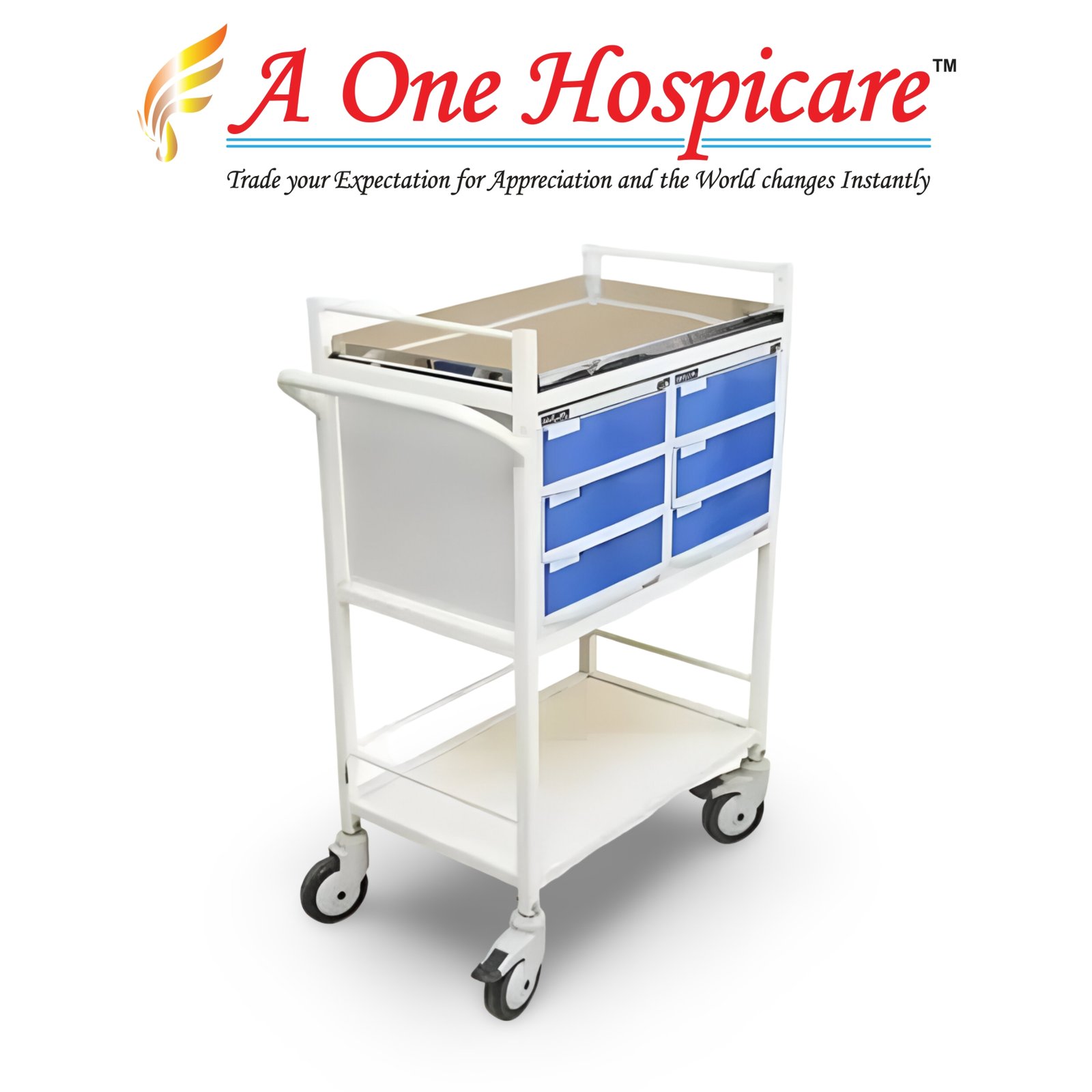 Medicine Trolley AOH 169 (B)