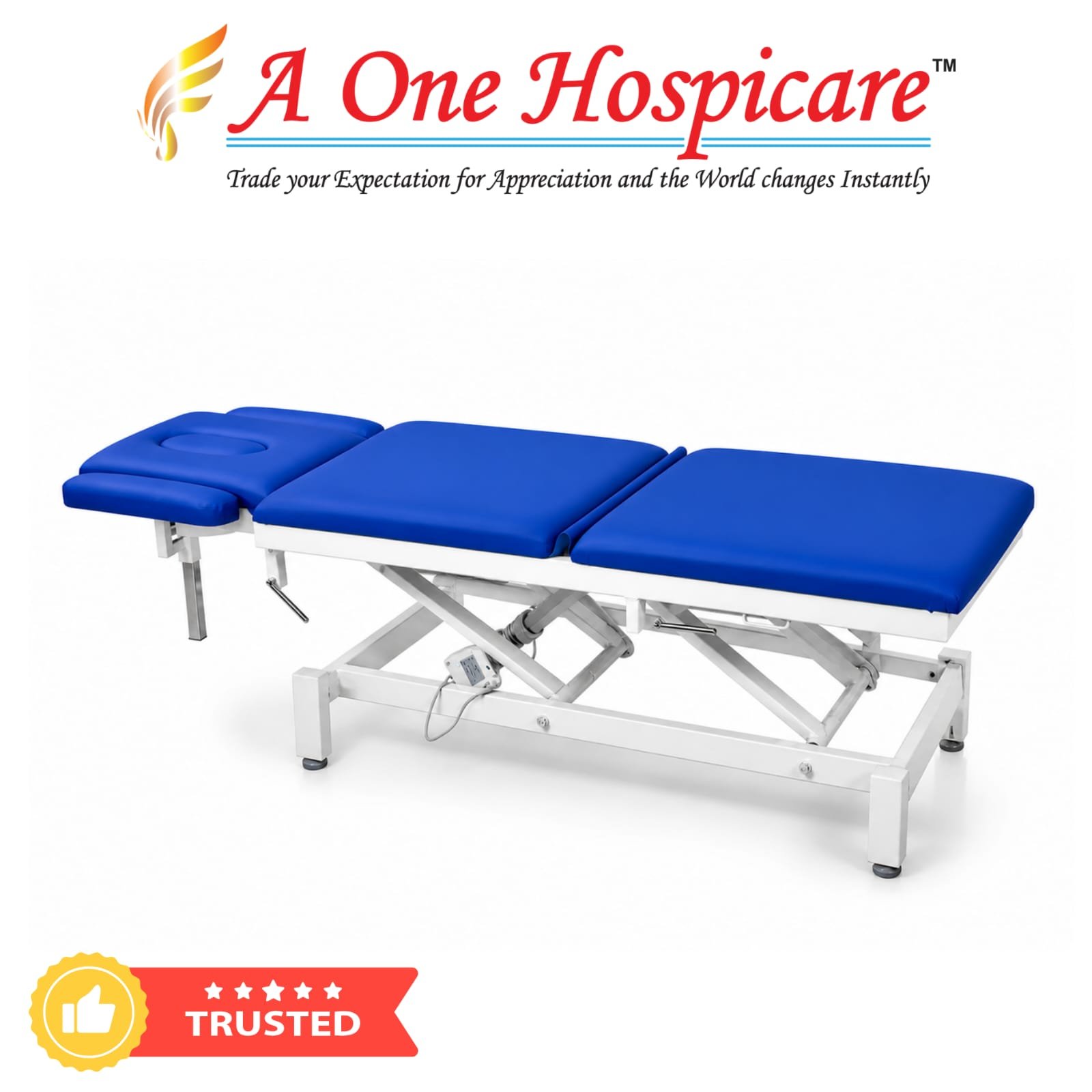 Physio Hi Low Treatment Couch three section Electric AOH 162 (J)