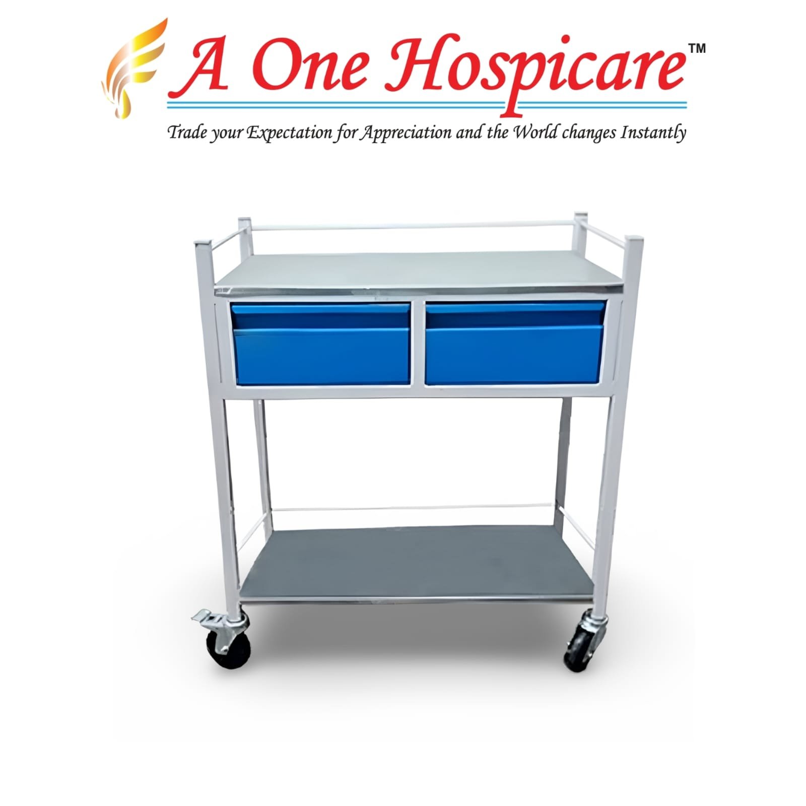 Medicine Trolley (2 Drawer) AOH 169 (D)